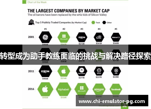 转型成为助手教练面临的挑战与解决路径探索 转型成为助手教练面临的挑战与解决路径探索