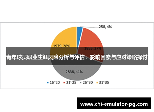 青年球员职业生涯风险分析与评估：影响因素与应对策略探讨