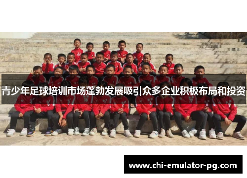 青少年足球培训市场蓬勃发展吸引众多企业积极布局和投资 青少年足球培训市场蓬勃发展吸引众多企业积极布局和投资